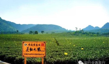 红茶是哪里的特产（中国红茶之乡是哪里）