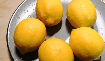 自制柠檬片（柠檬切片图片）