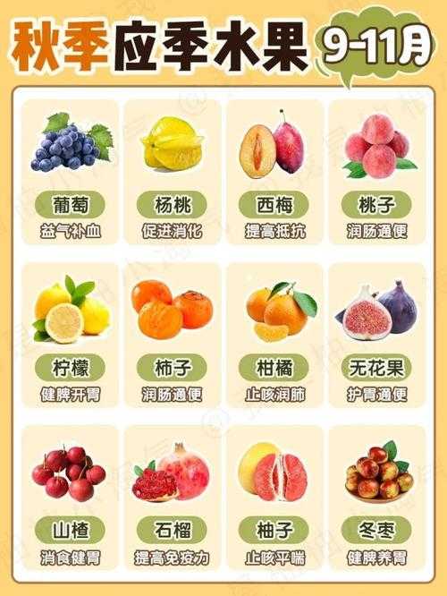 青柑是什么水果（十二个月应季水果表）
